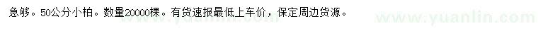求購(gòu)50公分小柏