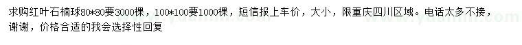 求購20、100公分紅葉石楠球