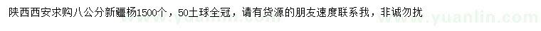 求購8公分新疆楊