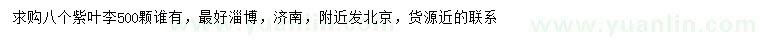 求購8公分紫葉李