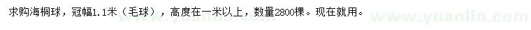 求購(gòu)冠幅1.1米海桐球