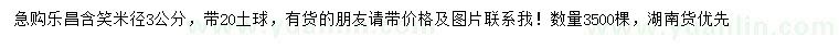 求購(gòu)米徑3公分樂(lè)昌含笑