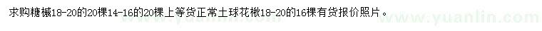 求購1416、18-20公分糖槭
