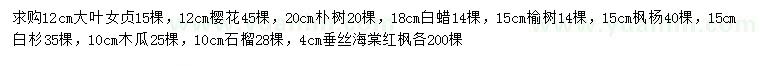 求購(gòu)大葉女貞、櫻花樸樹(shù)等