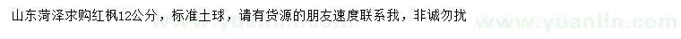 求購12公分紅楓