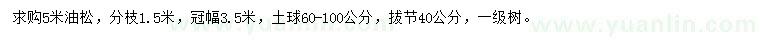 求購5米油松