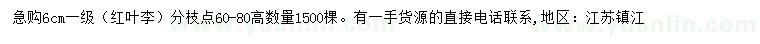 求購6公分紅葉李