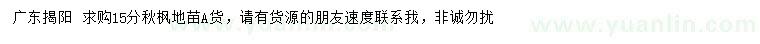 求購15公分秋楓