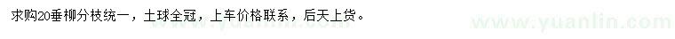 求購20公分垂柳