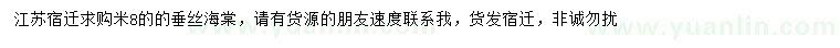 求購米8公分垂絲海棠