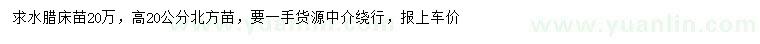 求購高20公分水臘床苗