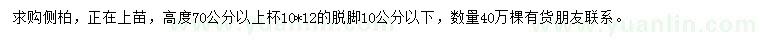 求購(gòu)高度70公分以上側(cè)柏