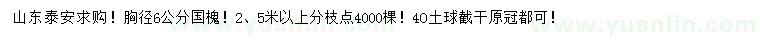 求購胸徑6公分國槐