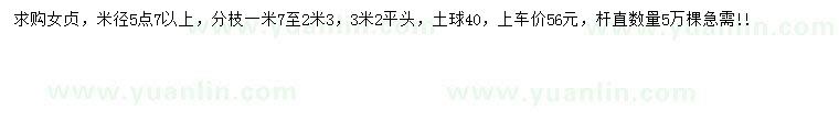 求購(gòu)米徑5.7公分以上女貞