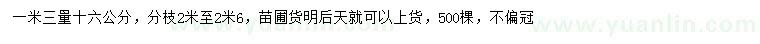 求購1.3米量16公分烏桕