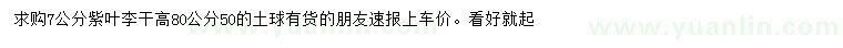 求購7公分紫葉李
