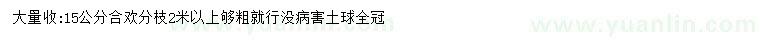 求購15公分合歡