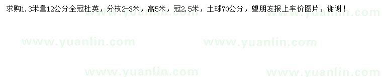 求購1.3米量12公分杜英
