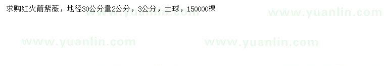 求購地徑30量2、3公分紅火箭紫薇