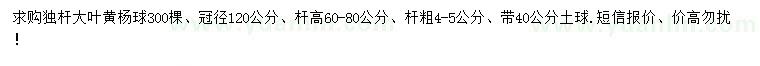 求購(gòu)高60-80公分大葉黃楊球