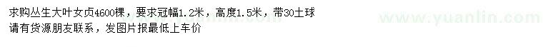 求購高1.5米大葉女貞