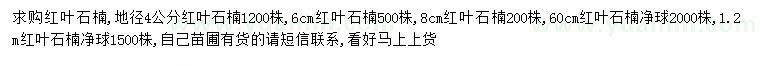 求購地徑4、6、8公分紅葉石楠