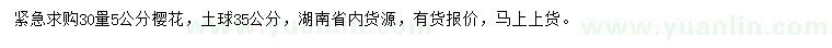 求購(gòu)30量5公分櫻花
