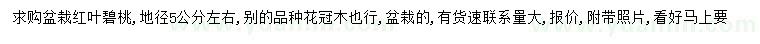 求購(gòu)地徑5公分紅葉碧桃