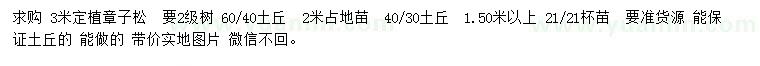 求購3米樟子松
