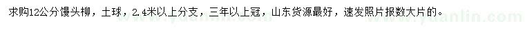 求購12公分饅頭柳