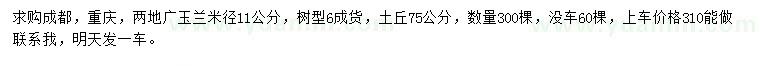 求購米徑11公分廣玉蘭