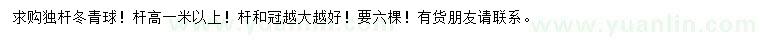 求購高1米以上冬青球