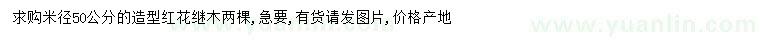 求購(gòu)米徑50公分紅花繼木