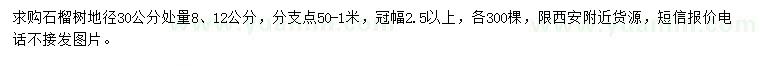 求購(gòu)地徑30公分處量8、12公分石榴樹(shù)