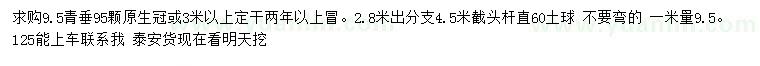 求購1米量9.5公分青垂