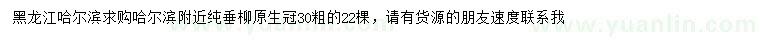 求購(gòu)30公分垂柳