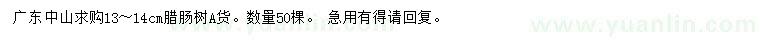 求購13-14公分臘腸樹