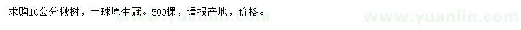 求購10公分楸樹