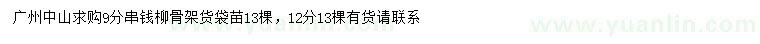 求購9、12公分串錢柳