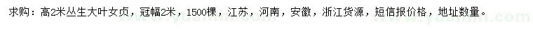 求購(gòu)高2米大葉女貞