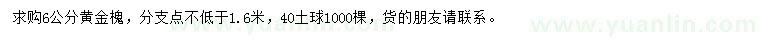 求購(gòu)6公分黃金槐