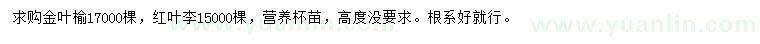 求購金葉榆、紅葉李