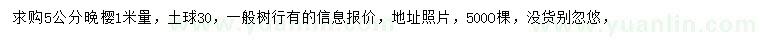 求購1米量5公分晚櫻