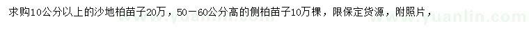求購10公分沙地柏、高50-60公分側柏