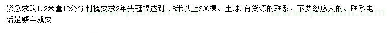 求購1.2米量12公分刺槐