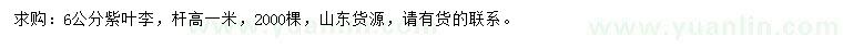 求購(gòu)6公分紫葉李
