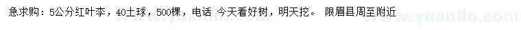 求購5公分紅葉李