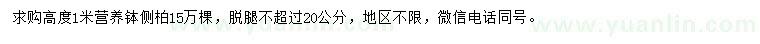 求購(gòu)高1米側(cè)柏