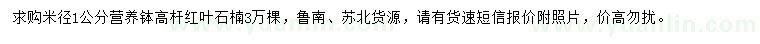 求購米徑1公分高桿紅葉石楠