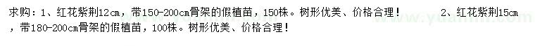 求購(gòu)12、15公分紅花紫荊